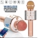 WS-858 - Microfone infantil de Karaoke Microfone de Brinquedo Sem Fio Bluetooth