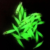 KIT 10 PEÇAS DE ISCA NEON DE CAMARÃO