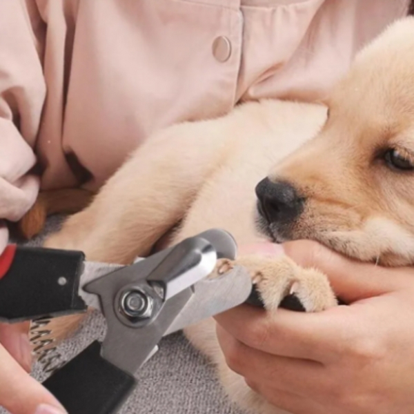 Alicate De Unha Cortador + Lixa Pet Cão Gato Cachorro