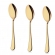 Kit 6 Colher Louça De Aço InoxidáVel Colher De Sobremesa Dourada / Luxuoso