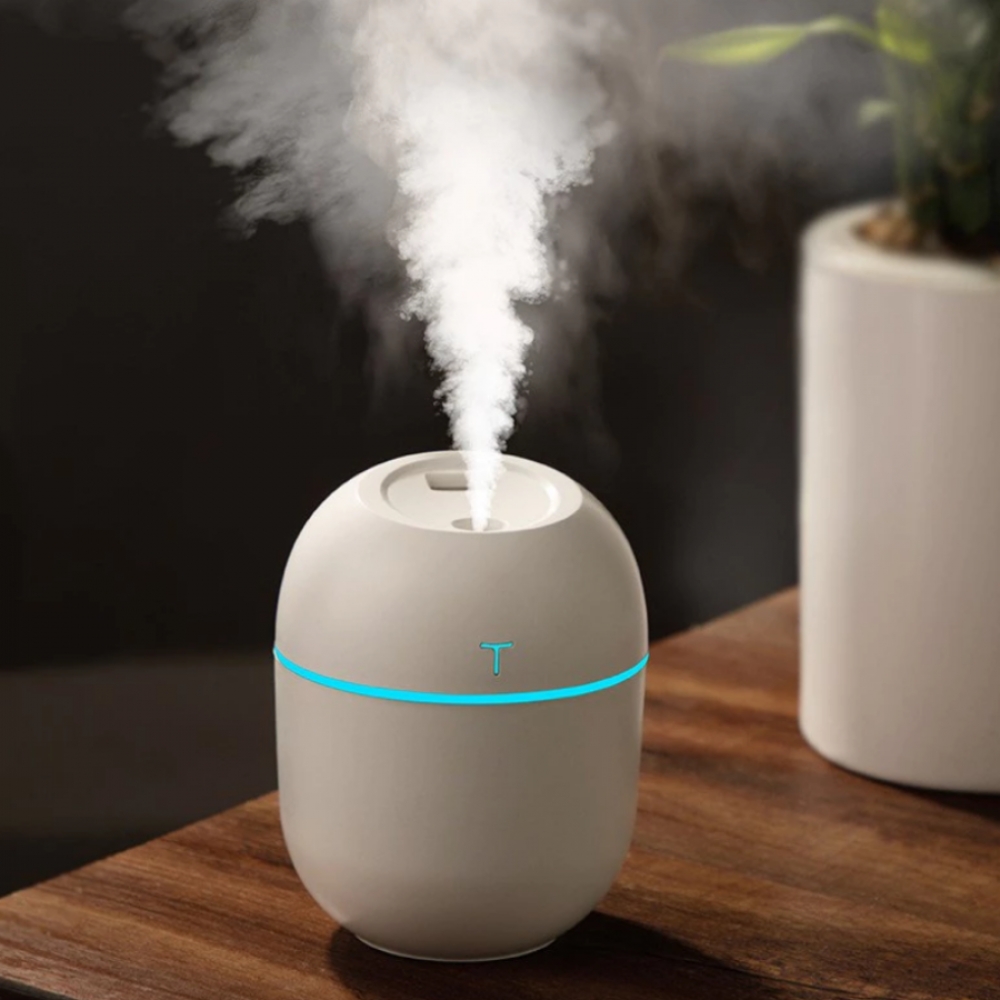 Mini Umidificador Difusor Aromatizador Egg Portátil Usb Led Aromatizador De Ambiente Purificador De Ar Casa Escritório