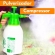 Pulverizador Borrifador Compressão Para Jardinagem Limpeza Vidro Automotivo Spray Manual Multiuso 2L