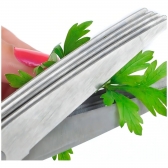 Tesoura Para Ervas E Temperos 5 Laminas