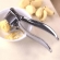 Espremedor De Alho Aço Inox Utensilio De Cozinha Multiuso Universal Super Resistente Tempero