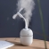 Mini Umidificador Difusor Aromatizador Egg Portátil Usb Led Aromatizador De Ambiente Purificador De Ar Casa Escritório