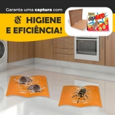 Kit 20 Unidades Ratoeira Adesiva Cola Forte Pega Rato Roedor