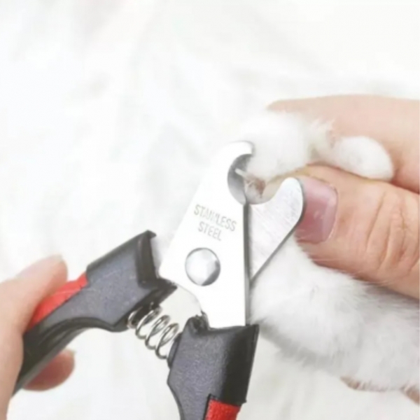 Alicate De Unha Cortador + Lixa Pet Cão Gato Cachorro