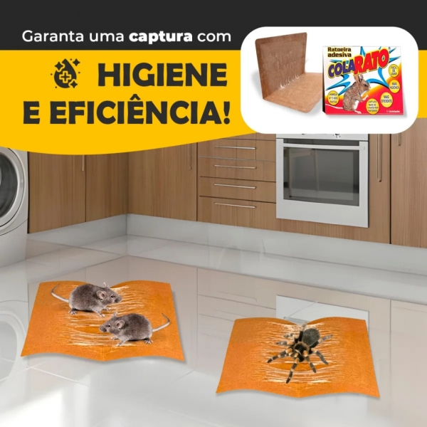 Kit 20 Unidades Ratoeira Adesiva Cola Forte Pega Rato Roedor