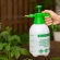 Pulverizador Borrifador Compressão Para Jardinagem Limpeza Vidro Automotivo Spray Manual Multiuso 2L
