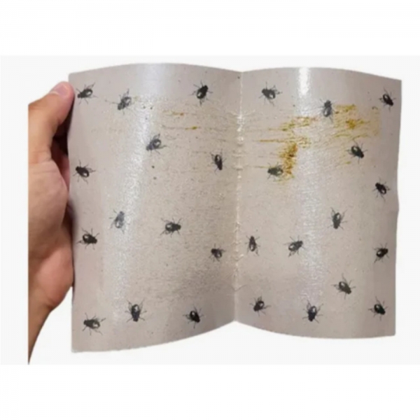 Kit 05 Cartela Adesiva Pega Mosquito E Mosca