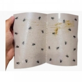 Kit 05 Cartela Adesiva Pega Mosquito E Mosca